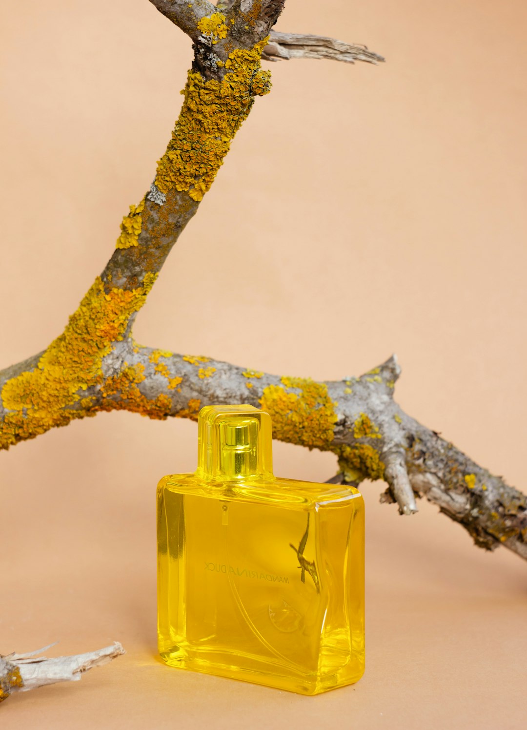 El Impacto del Packaging en la Industria de la Perfumería